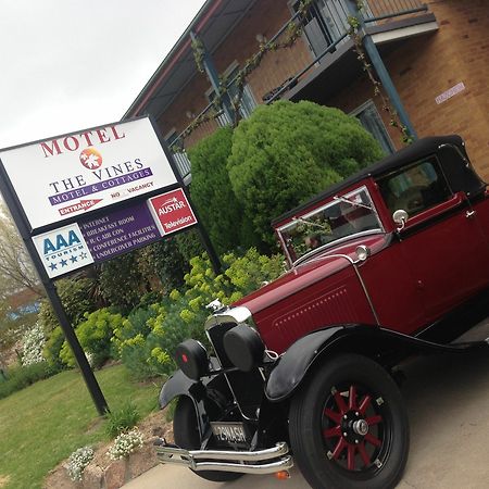 The Vines Motel & Cottages Stanthorpe Kültér fotó