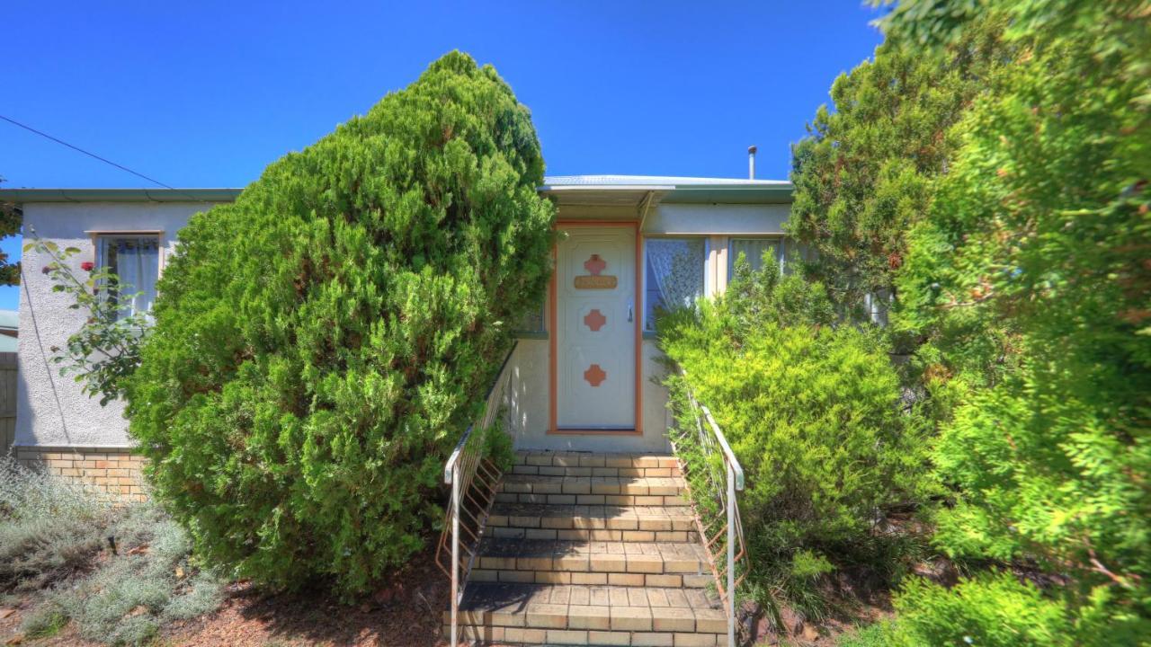 The Vines Motel & Cottages Stanthorpe Kültér fotó