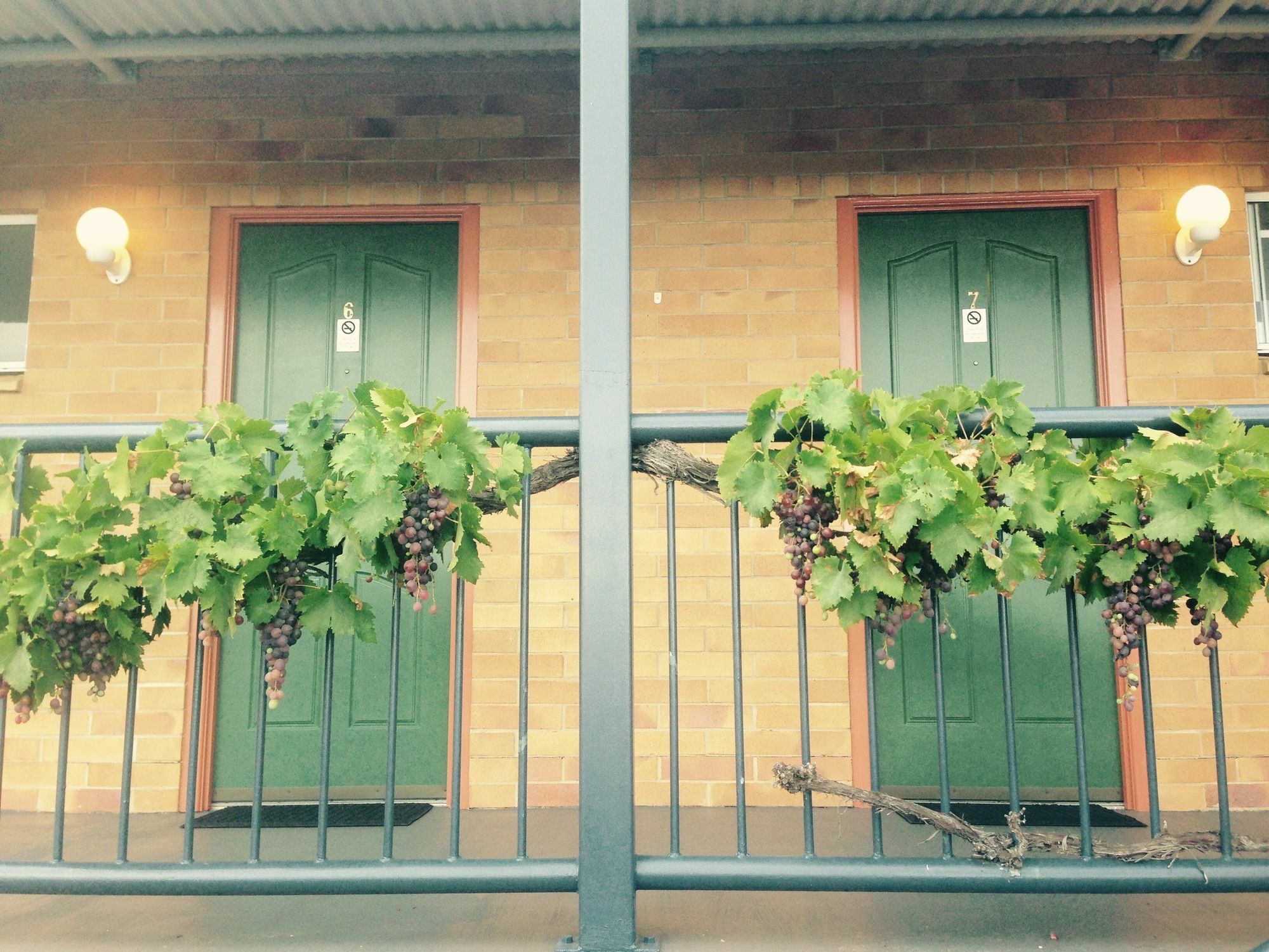 The Vines Motel & Cottages Stanthorpe Kültér fotó